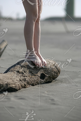 砂浜で流木に乗る女性の脚